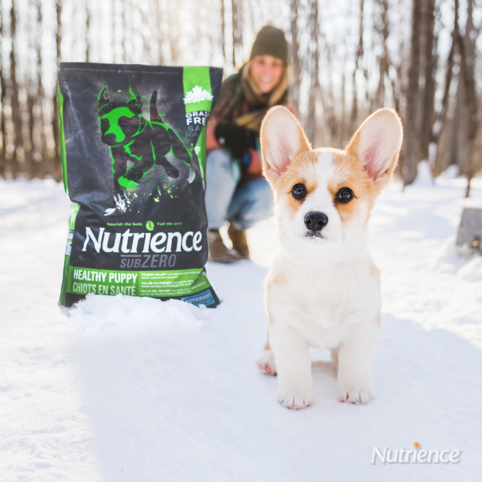 Nutrience sub zero healthy puppy hotsell