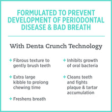 Nutrience Care Oral Health – Cat